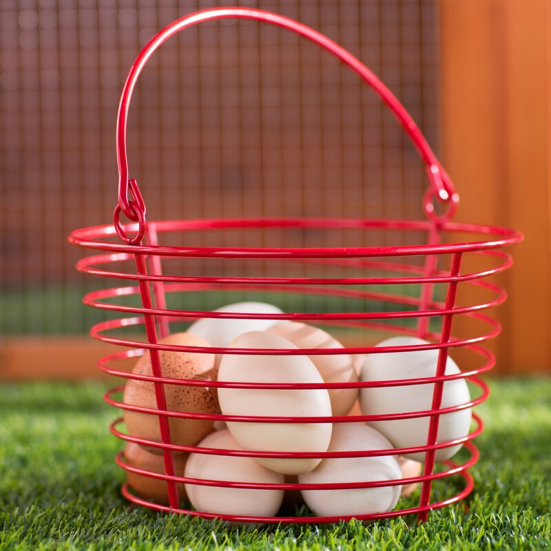 Archie & Oscar™ Dorothea Egg Collecting Basket & Reviews Wayfair